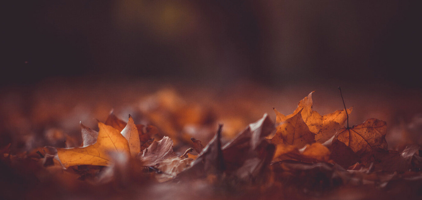 Fall Kickoff