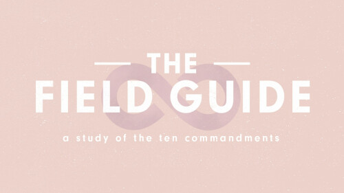 The Field Guide For Real Life