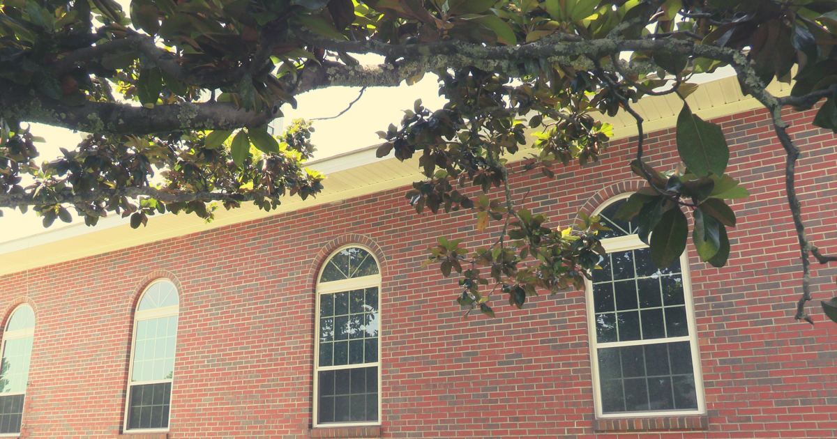 I'm New Stapleton Baptist Church