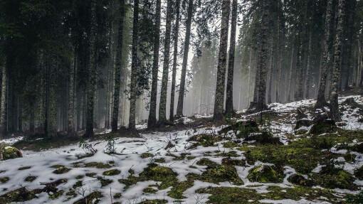 Where Transformation Happens Best