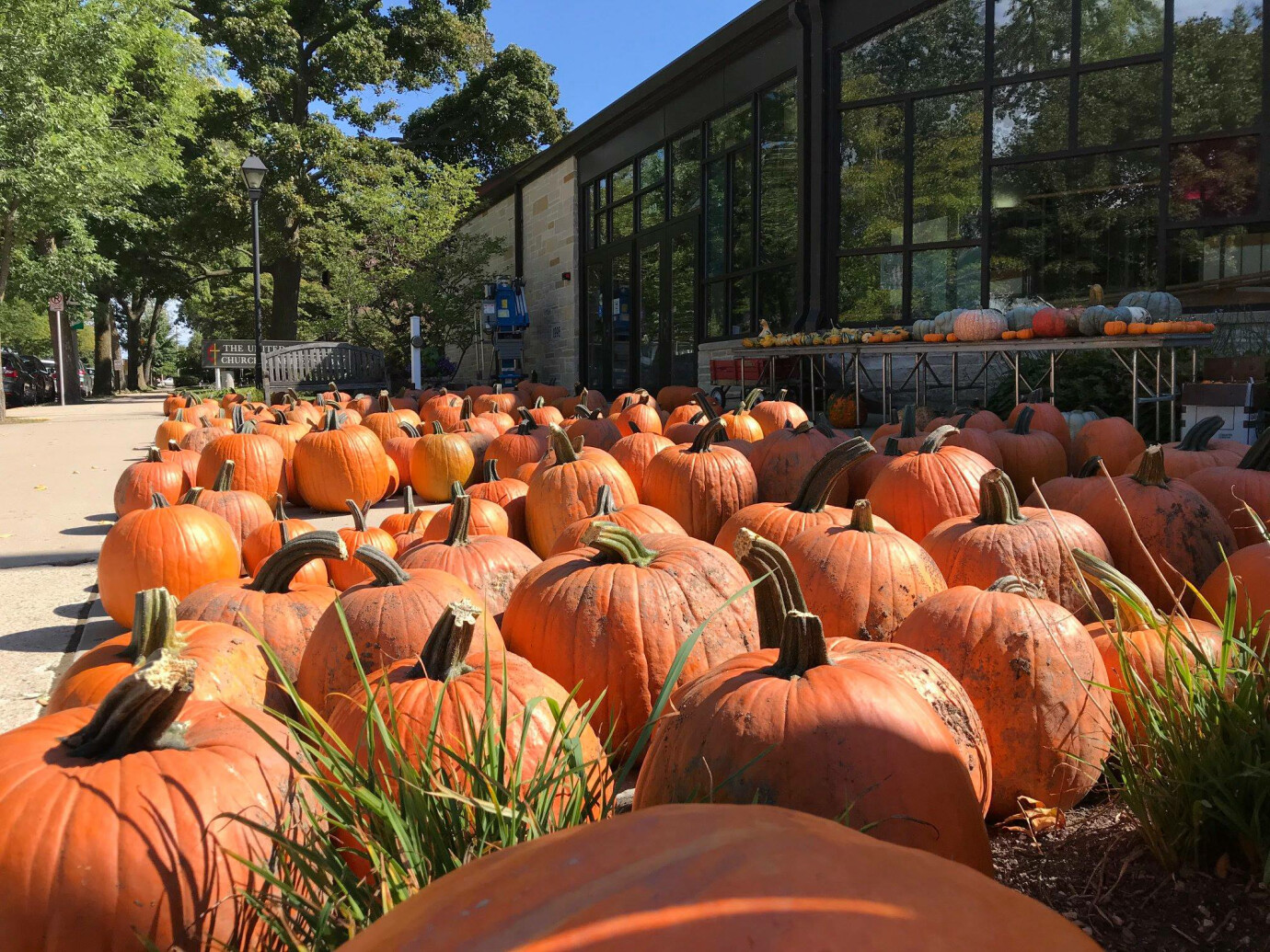 Volunteer for PUMPKIN SALES! (Through Oct. 25)