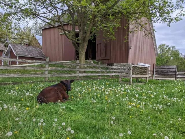 Family Event: Kline Creek Farm