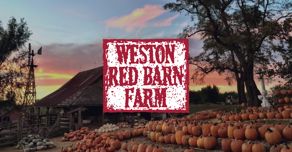 Awana | Red Barn Farm