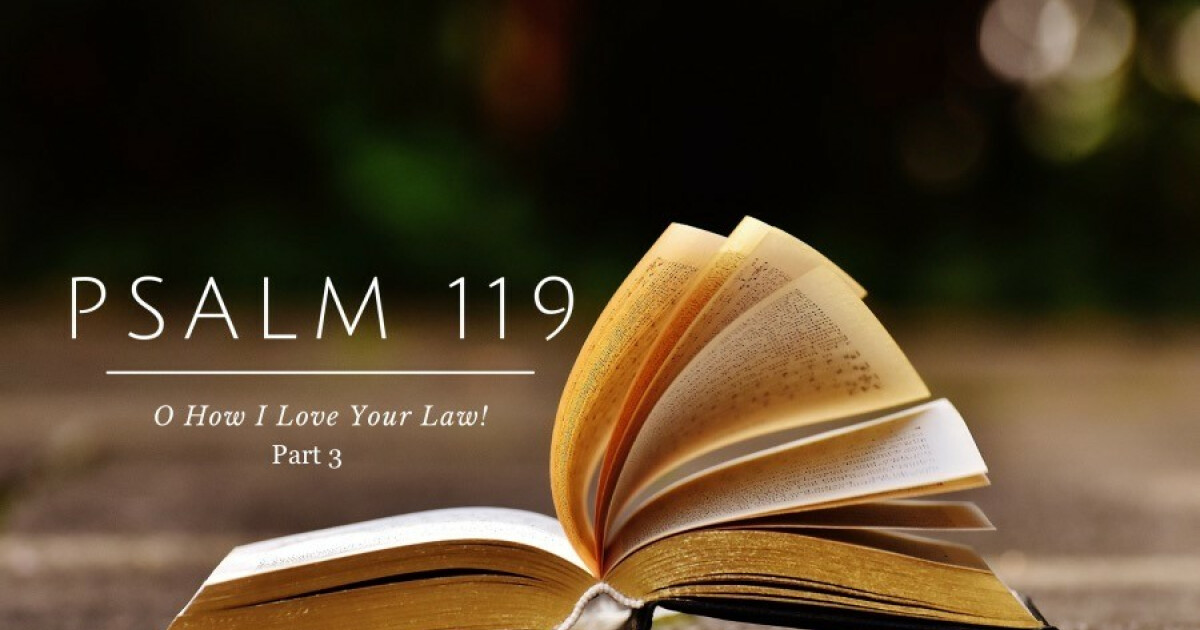 What Does That Mean? Psalm 119188 (Part Three) Daily Devotional