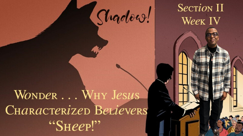 We Are Sheep-Why God Characterized the Believers as sheep | Section II |