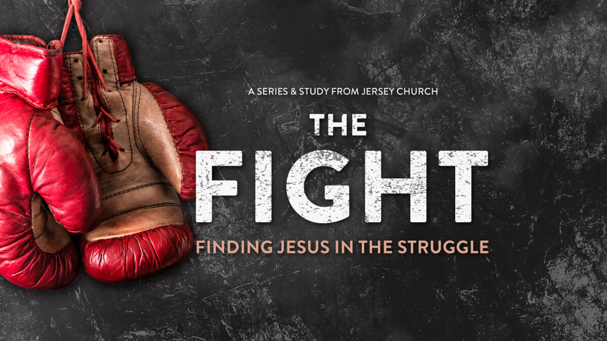 The Fight Study