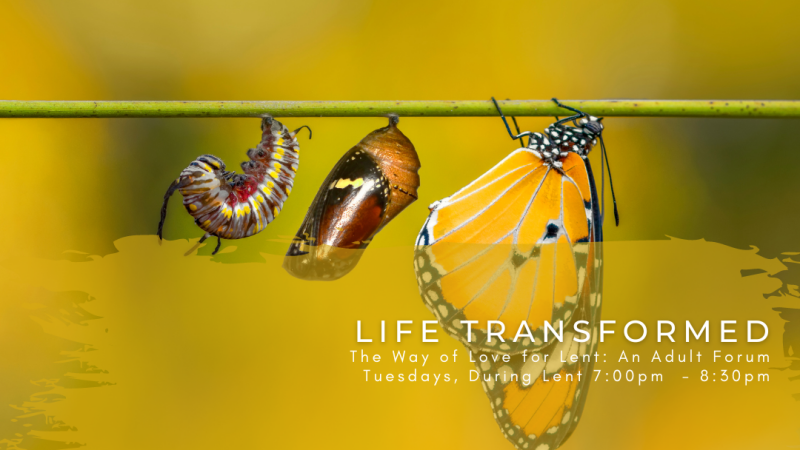 Life Transformed: The Way of Love in Lent