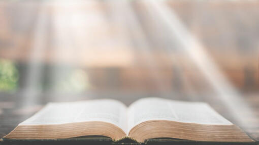 Scripture, Community, and Christ: A Living Relationship