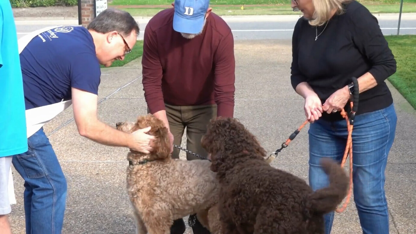 Blessing of the Pets