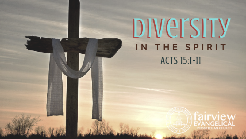 Diversity in the Spirit