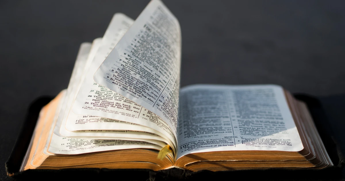 Join other seniors for a Bible study. It's a great time to learn and socialize.