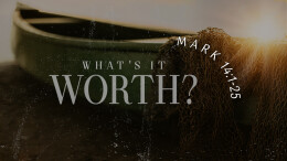 What's It Worth?