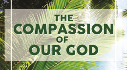 Will You Carry Palms for Jesus?