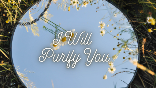 I Will Purify You!