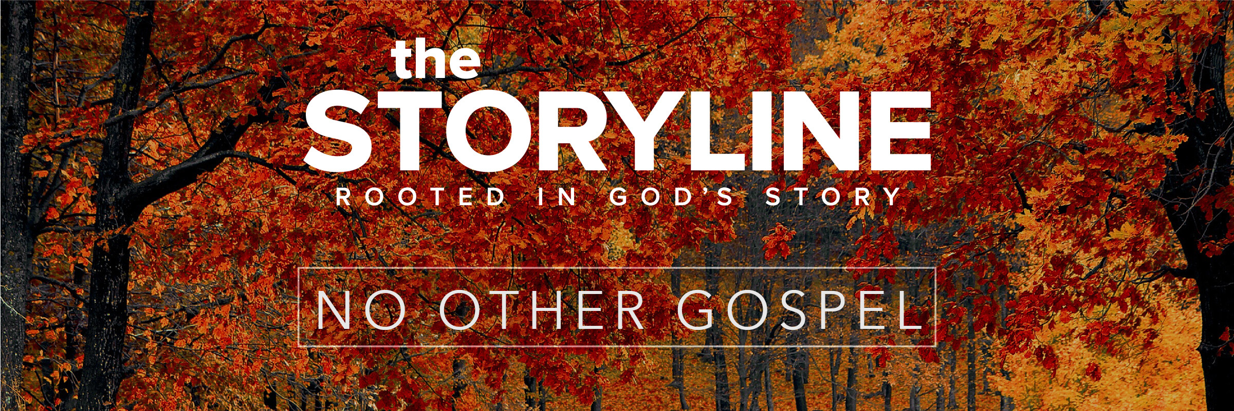 The Storyline | Freedom in Christ (Audio) episode artwork
