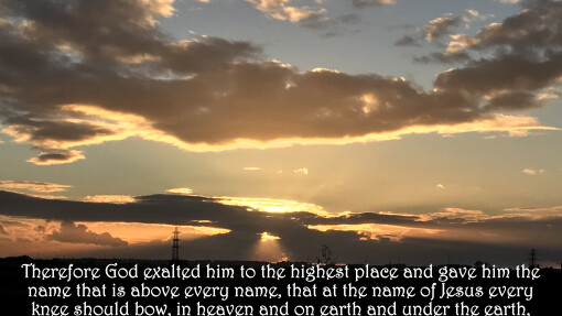 Verse of the Day - July 13