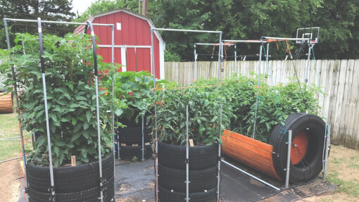 Tire Gardens: Good for People and the Planet 