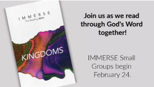 IMMERSE Small Groups