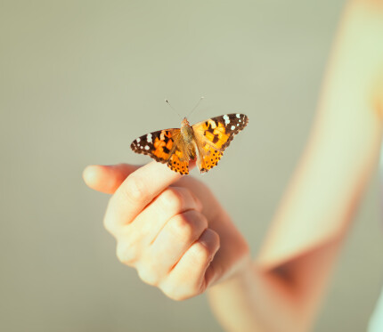 The Kingdom Exchange Rate