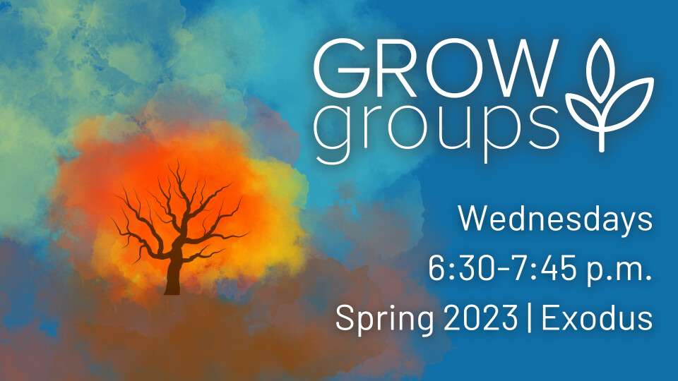 Adult Grow Groups