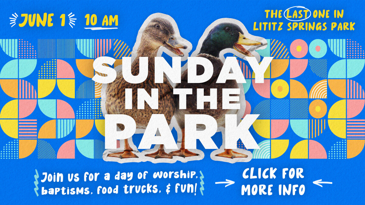 Sunday in the Park 2025