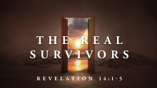 The Real Survivors