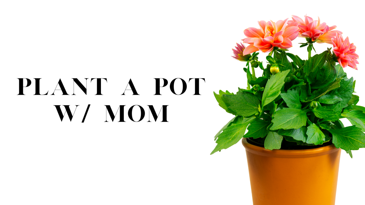 Plant a Pot w/ Mom