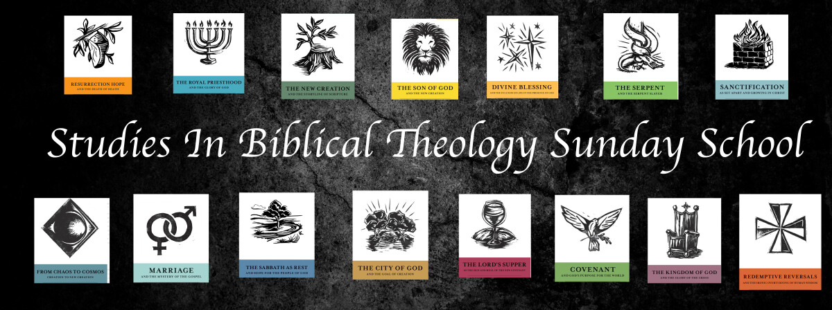 Studies in Biblical Theology Sunday School Class