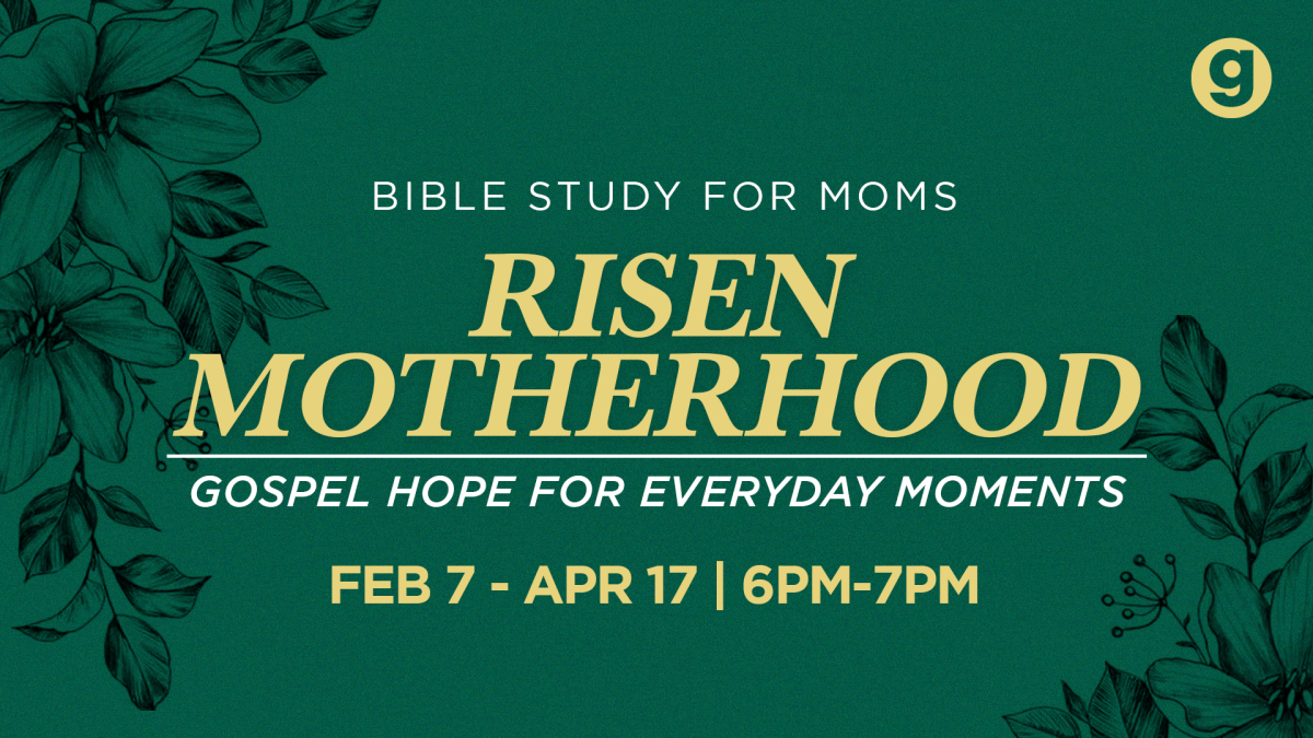 Risen Motherhood:  Bible Study for Moms