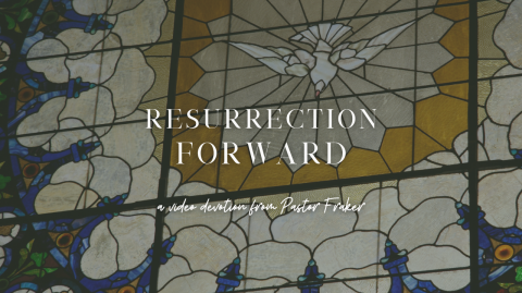 Video Devotion: Resurrection Forward