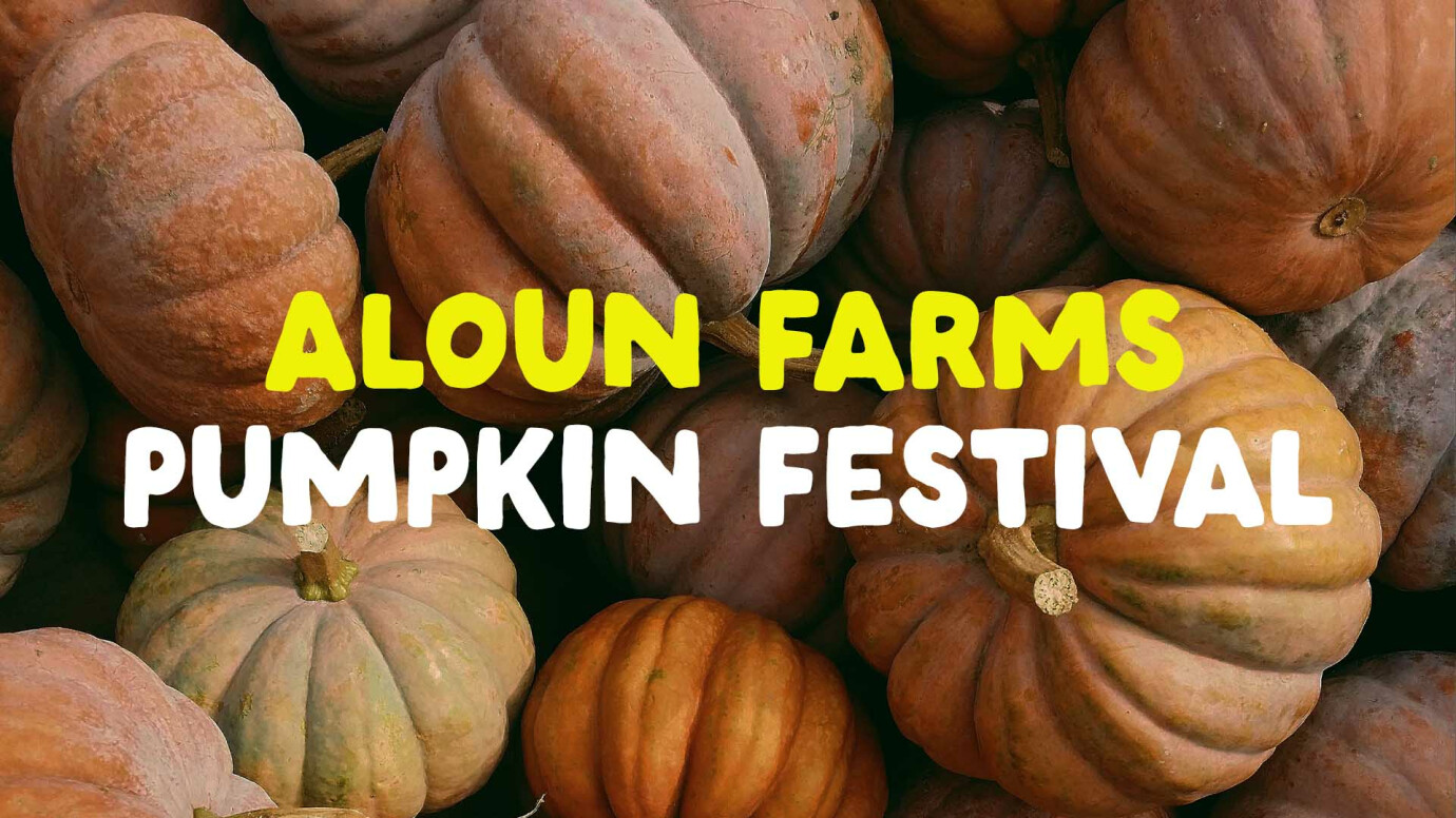 Aloun Farms Pumpkin Festival New Hope Oahu