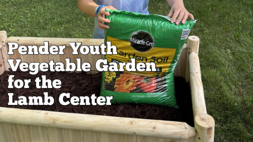 This Week at Pender May 22, 2025