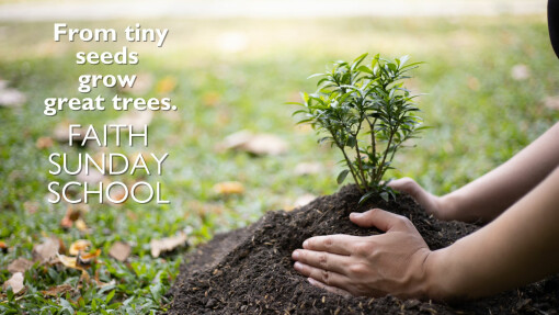 Volunteer for Sunday School