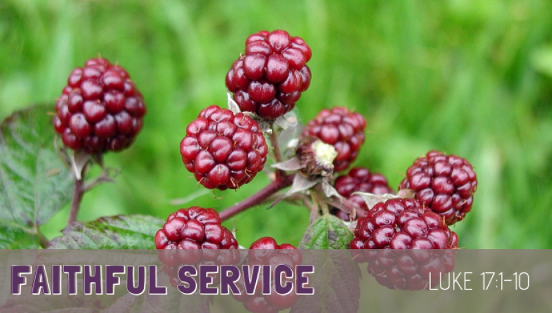 Faithful Service