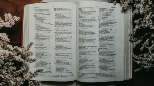 An Ancient Way to Pray, Lectio Divina