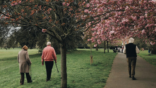 Growing Old Gracefully