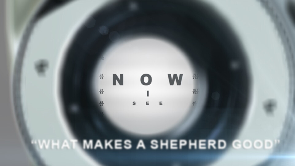 What Makes A Shepherd Good (Audio) episode artwork