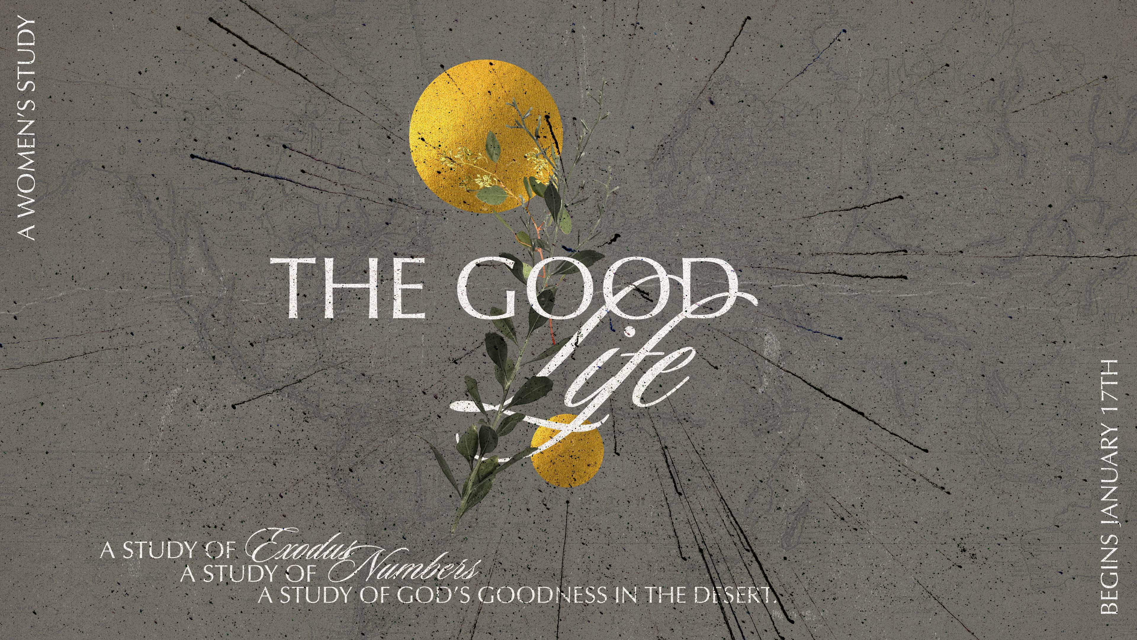 Women's Bible Study: The Good Life