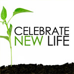 Celebrate New Life episode artwork