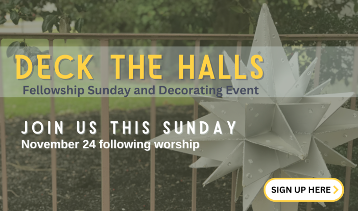 Deck the Halls - Nov 24 2024 11:30 AM