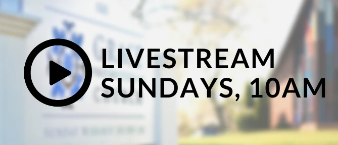Livestream Services