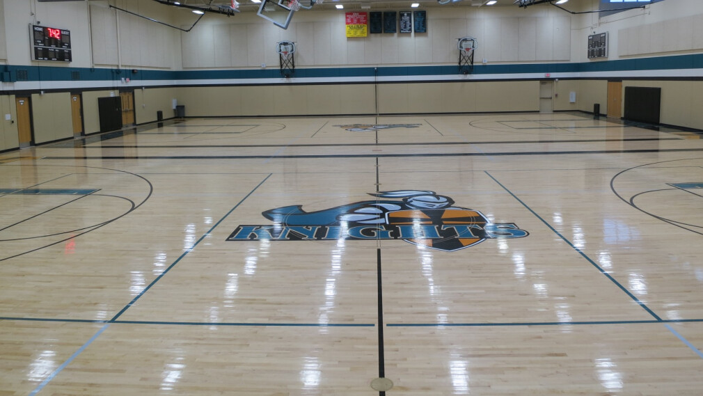 St. Dominic Athletics
