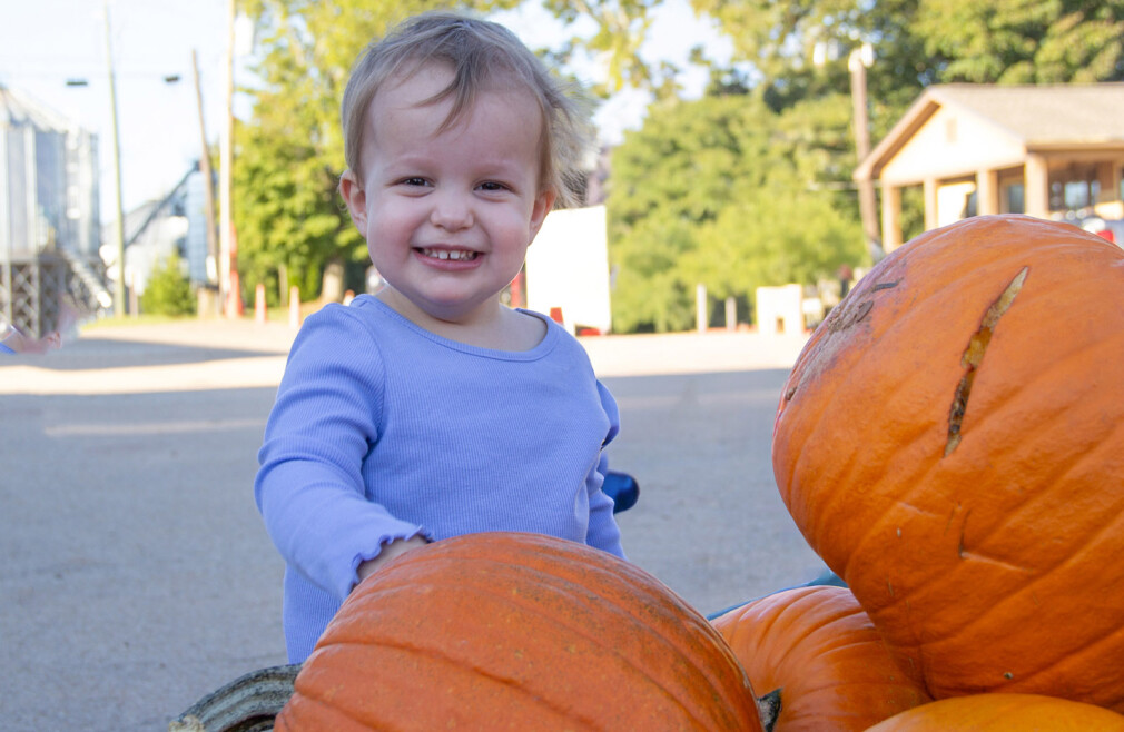 Pumpkin Patch