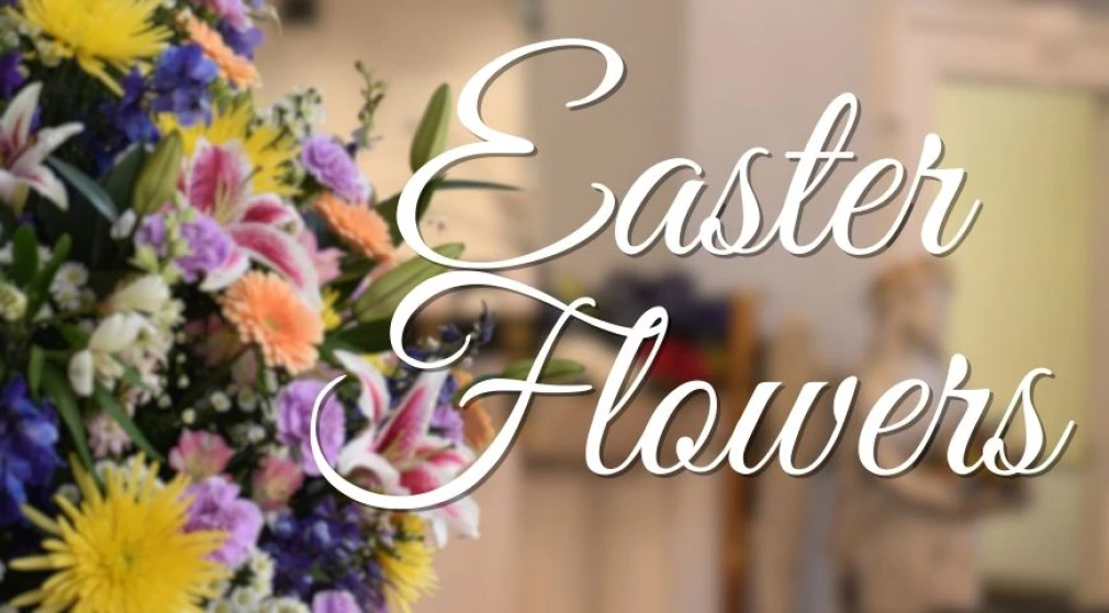 Donate Easter Flowers