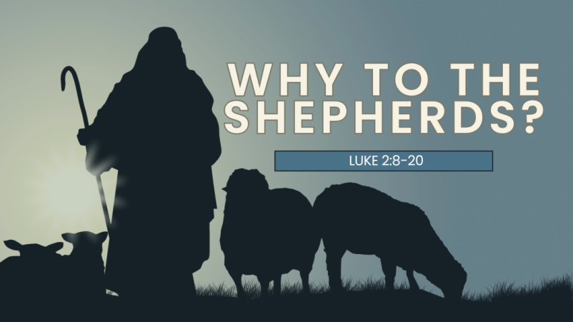 Why to the Shepherds?