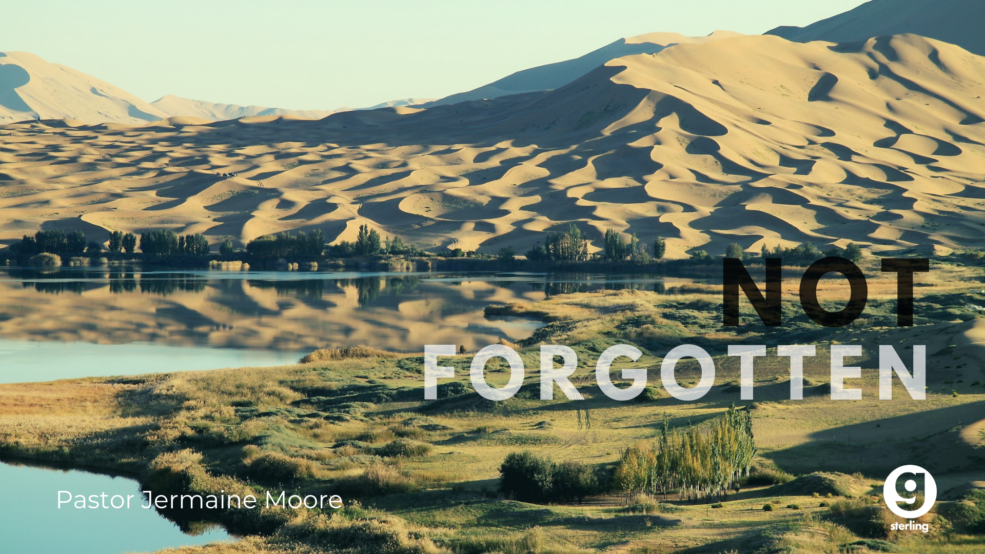 Not Forgotten episode artwork