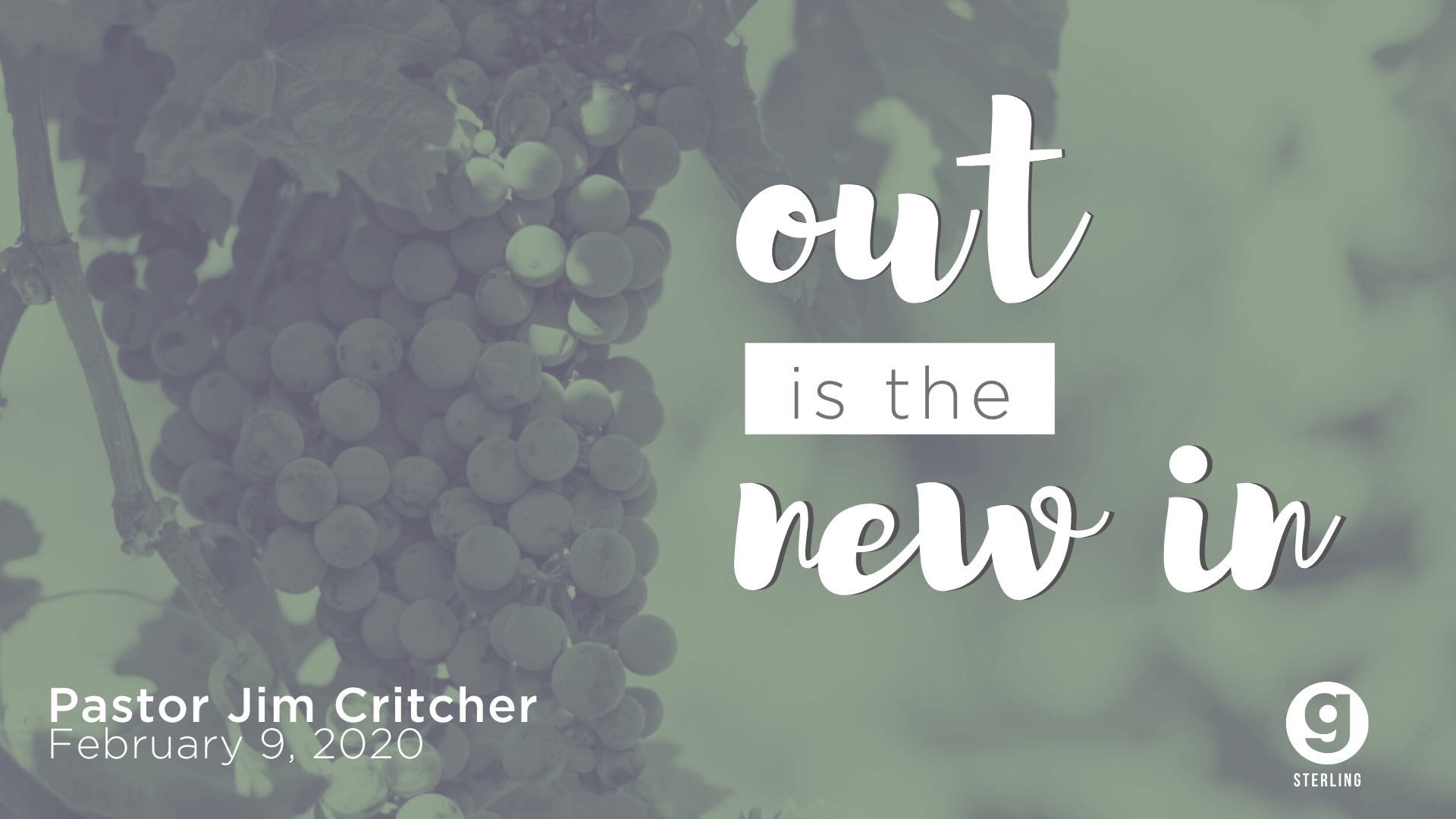 Out is the New In - Sterling episode artwork