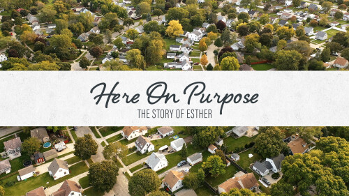 Here on Purpose: The Story of Esther