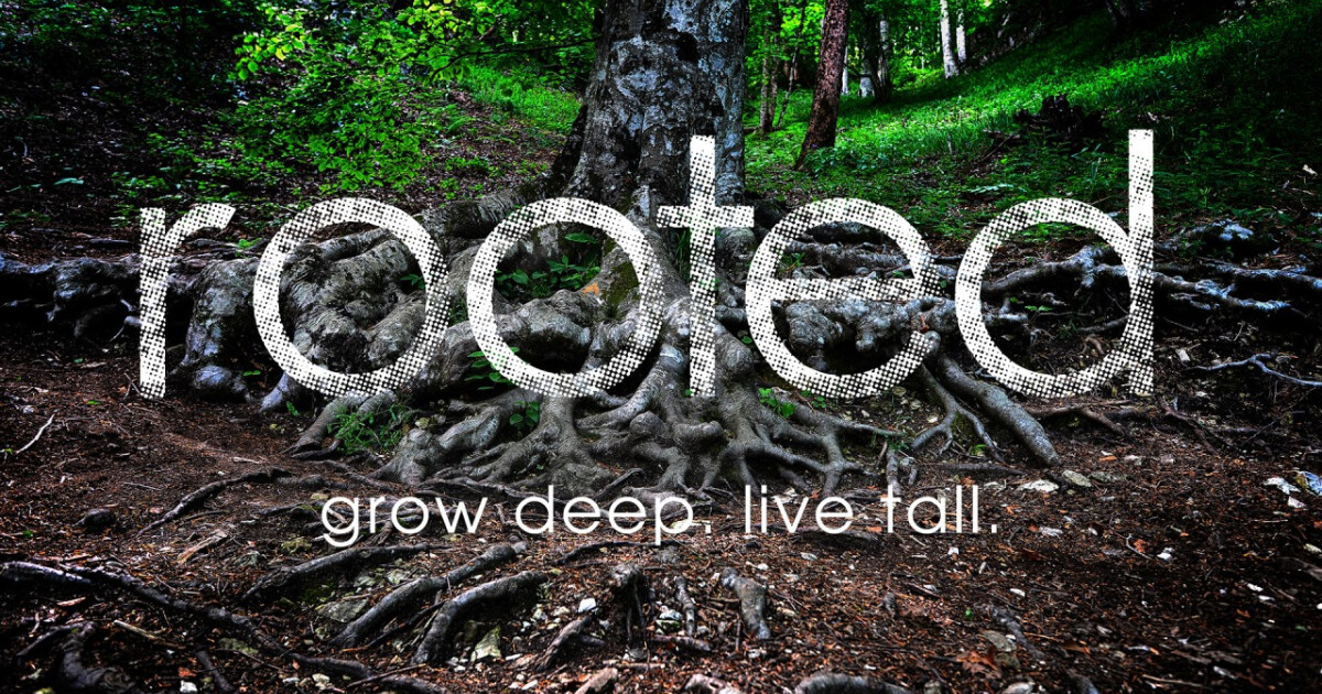 Keep Rooted The Community of the Rooted | Sermons | Trinity Church