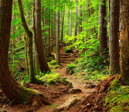 The Spirit - Led Life